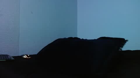 Snapshot of lliamm_2 chatting on September 27, 2025, 5:23 am lliamm 2 online show from September 27, 2025, 5:23 am