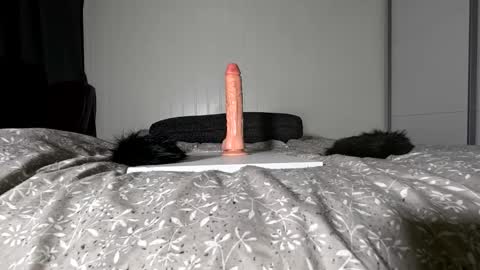 Elis online show from February 6, 2026, 1:54 am