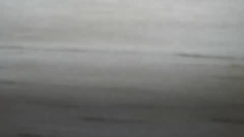 lockedpeepee online show from January 8, 2025, 8:18 pm