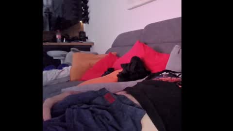 Loki online show from July 20, 2026, 4:49 am
