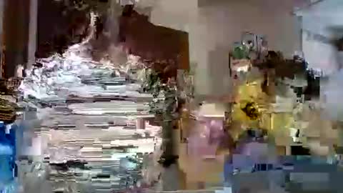 LOLA HUESO y ERIC online show from February 12, 2025, 4:55 pm