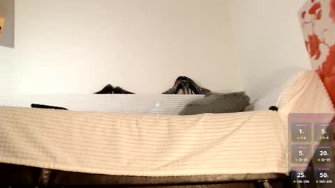 Snapshot of lollatiny chatting on October 27, 2025, 6:50 am Miss Lolla online show from October 27, 2025, 6:50 am