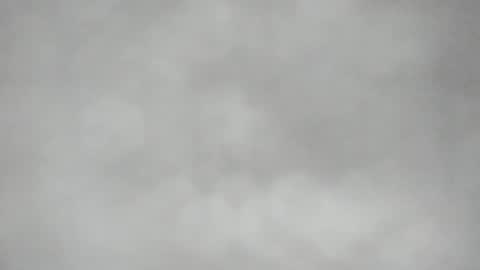 L O L Y -- E B O N Y online show from April 17, 2026, 8:23 pm