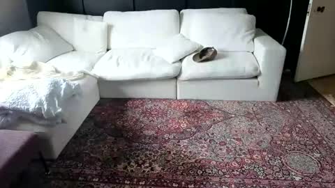 Em online show from February 9, 2026, 9:13 am