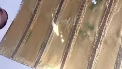 londonsbigbenxxx online show from September 30, 2025, 9:25 am