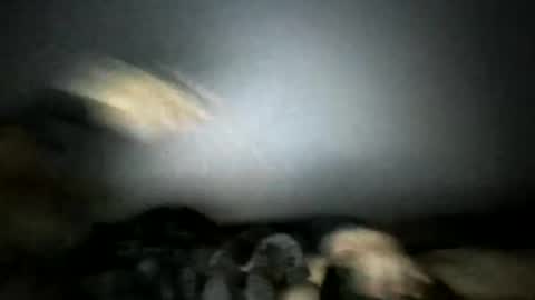lonelyheart044 online show from April 26, 2026, 5:05 am