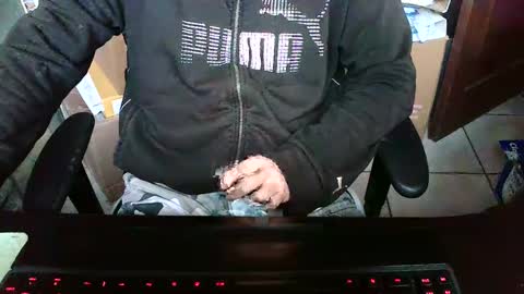 Snapshot of lonelypumabreizh chatting on December 28, 2024, 9:20 am Pumabreizh online show from December 28, 2024, 9:20 am