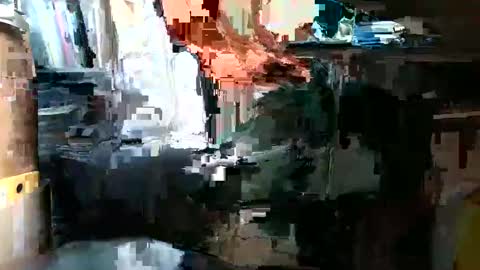 Snapshot of lonelypumabreizh chatting on February 2, 2025, 1:08 pm Pumabreizh online show from February 2, 2025, 1:08 pm