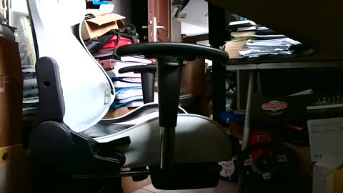 Snapshot of lonelypumabreizh chatting on February 14, 2025, 4:41 pm Pumabreizh online show from February 14, 2025, 4:41 pm