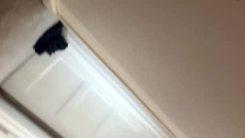 longlegs988 online show from February 9, 2026, 1:37 pm