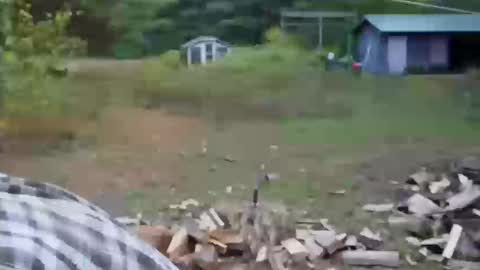 Snapshot of longtimerambler chatting on October 11, 2025, 9:02 pm longtimerambler online show from October 11, 2025, 9:02 pm