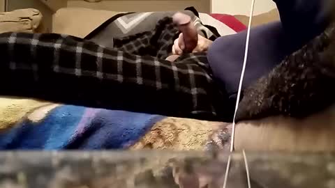 looking4bush online show from March 18, 2026, 1:09 am