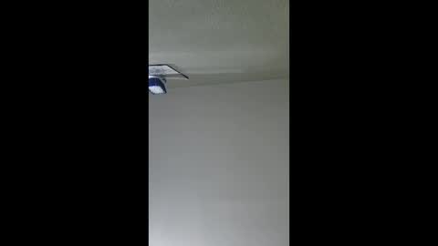 2791 3D online show from December 17, 2025, 5:35 am