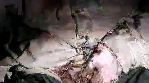 loudiamondmushroom online show from June 27, 2026, 2:38 am