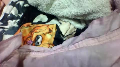 Snapshot of lovaelisa chatting on November 2, 2025, 2:52 pm lovaelisa online show from November 2, 2025, 2:52 pm