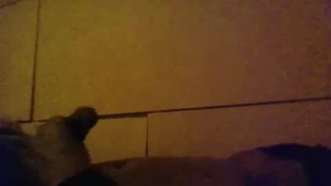 lovebignip online show from February 16, 2026, 5:14 am