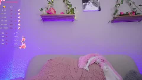 Snapshot of loveegirll chatting on February 16, 2025, 4:20 am katalina   online show from February 16, 2025, 4:20 am