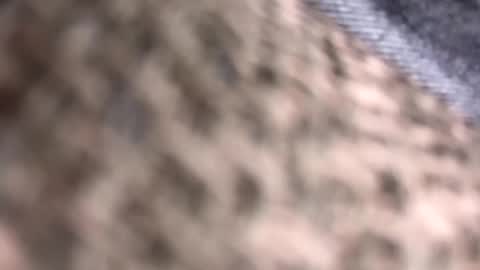 getnaked123 online show from June 9, 2026, 1:50 am