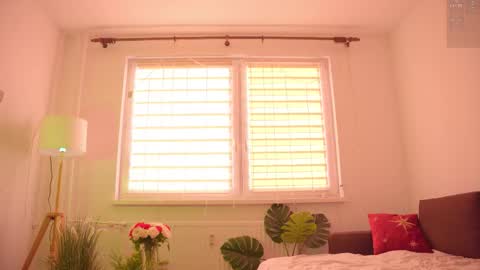 Nelly online show from November 18, 2025, 12:53 pm