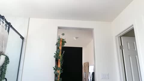 lovelyxmacii online show from April 29, 2026, 6:47 pm