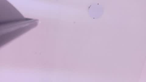 L O V E  online show from March 17, 2026, 11:35 am