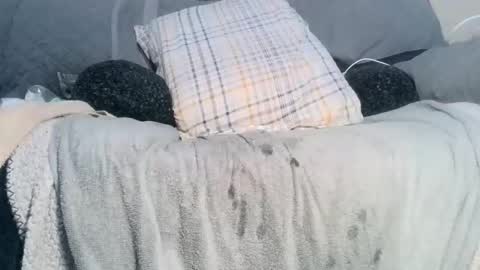 lovetobeused online show from February 17, 2026, 2:19 am