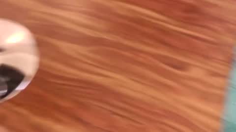 lovingcouple1969 online show from February 7, 2026, 2:21 pm