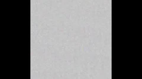 ShangAnon online show from March 9, 2025, 11:46 pm