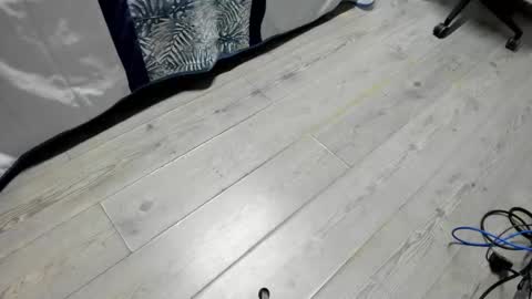 luca_morettii online show from October 16, 2025, 12:06 pm