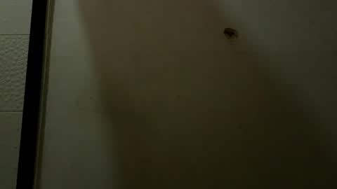 Luciana Ramirez  Sofia Collins online show from May 9, 2026, 9:42 pm
