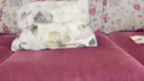 Mysterious Girl online show from December 22, 2024, 8:49 am