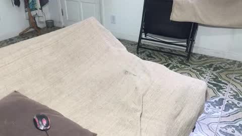 lucifer_curious online show from January 5, 2026, 8:45 pm