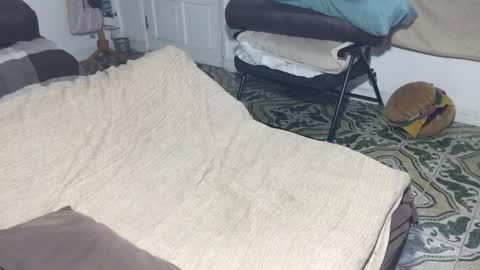 lucifer_curious online show from February 12, 2026, 8:59 pm