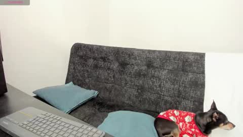 luci online show from December 4, 2025, 7:11 pm