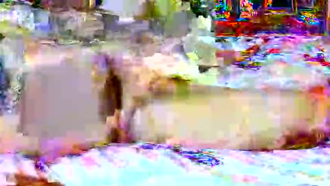 lucky134u online show from April 20, 2026, 2:31 pm
