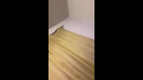 luis132578 online show from November 22, 2025, 12:37 pm