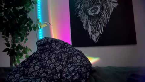 luisjg24hrs online show from May 17, 2026, 8:38 pm