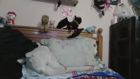 Snapshot of luismiastarot chatting on October 28, 2025, 1:53 am luismiastarot online show from October 28, 2025, 1:53 am