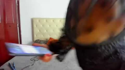Luissa online show from August 6, 2026, 12:29 pm