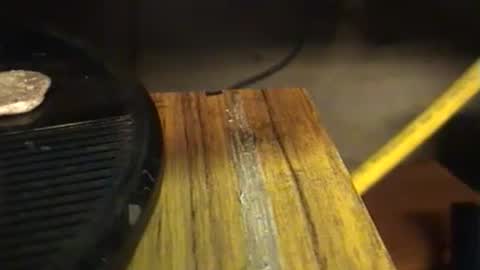 lukestarfckr online show from September 29, 2025, 7:19 pm