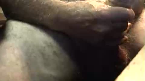 lukestarfckr online show from October 5, 2025, 5:50 am