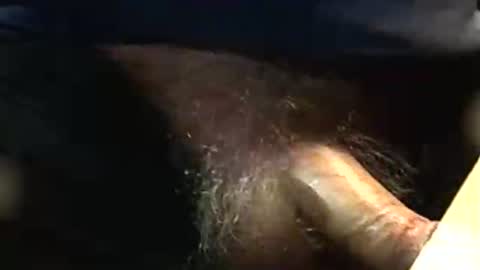 lukestarfckr online show from November 25, 2025, 8:31 pm