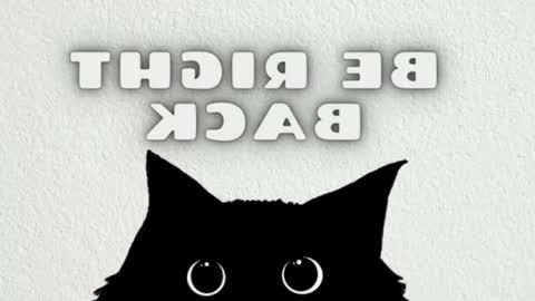 elizabeth online show from May 29, 2026, 12:08 am