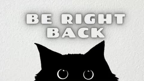 elizabeth online show from June 27, 2026, 12:15 am
