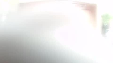 Snapshot of lulu_wild chatting on February 14, 2026, 9:17 am lulu_wild online show from February 14, 2026, 9:17 am