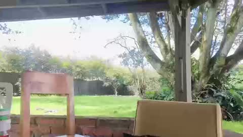 lunaluxe1001 online show from March 20, 2026, 2:33 pm