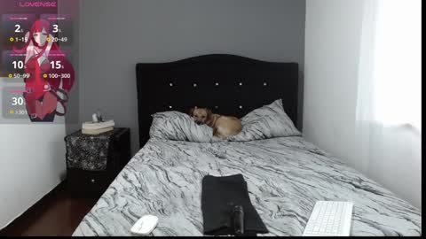 emilyperci  instagram online show from December 10, 2024, 10:26 pm