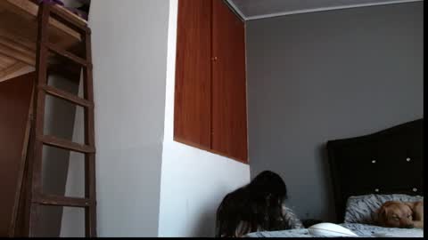 emilyperci  instagram online show from February 4, 2025, 12:55 pm
