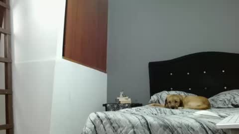 emilyperci  instagram online show from February 25, 2025, 11:33 pm