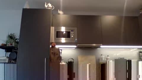 Snapshot of lupine_666 chatting on December 12, 2024, 10:56 am Lupine online show from December 12, 2024, 10:56 am